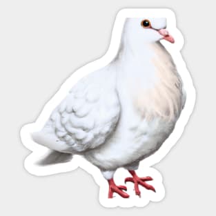 Cute Dove Drawing Sticker